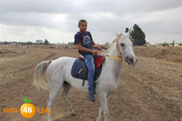 khoyoul lud 0610 (16).JPG